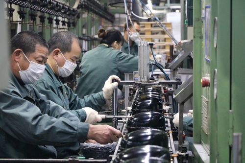 海外訂單激增，長虹電視與冰空洗產品同比大幅增長，網絡技術服務助力業務拓展